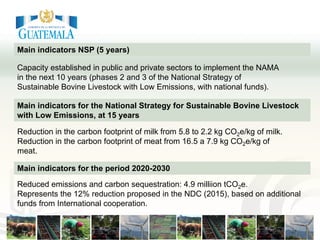 Improving transparency: Implementing MRV of livestock NAMAS to meet NDC and finance needs