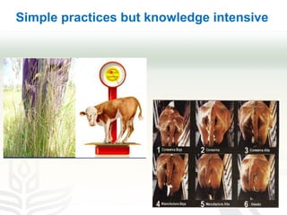 Improving transparency: Implementing MRV of livestock NAMAS to meet NDC and finance needs