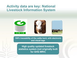 Improving transparency: Implementing MRV of livestock NAMAS to meet NDC and finance needs
