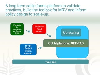 Improving transparency: Implementing MRV of livestock NAMAS to meet NDC and finance needs