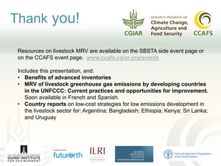 Improving transparency: Implementing MRV of livestock NAMAS to meet NDC and finance needs