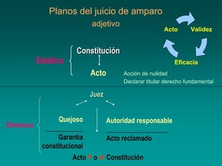 Incidentes en el Juicio de Amparo ,etapas | PPT