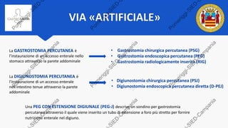 VIA «ARTIFICIALE»
La GASTROSTOMIA PERCUTANEA è
l’instaurazione di un accesso enterale nello
stomaco attraverso la parete addominale
• Gastrostomia chirurgica percutanea (PSG)
• Gastrostomia endoscopica percutanea (PEG)
• Gastrostomia radiologicamente inserita (RIG)
La DIGIUNOSTOMIA PERCUTANEA è
l'instaurazione di un accesso enterale
nell'intestino tenue attraverso la parete
addominale
• Digiunostomia chirurgica percutanea (PSJ)
• Digiunostomia endoscopica percutanea diretta (D-PEJ)
Una PEG CON ESTENSIONE DIGIUNALE (PEG-J) descrive un sondino per gastrostomia
percutanea attraverso il quale viene inserito un tubo di estensione a foro più stretto per fornire
nutrizione enterale nel digiuno.
 