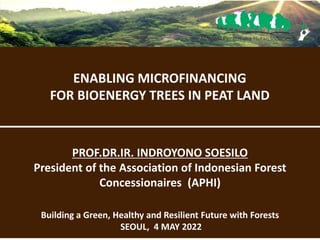 Building a Green, Healthy and Resilient Future with Forests
SEOUL, 4 MAY 2022
PROF.DR.IR. INDROYONO SOESILO
President of the Association of Indonesian Forest
Concessionaires (APHI)
ENABLING MICROFINANCING
FOR BIOENERGY TREES IN PEAT LAND
 