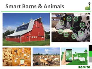 Smart Barns & Animals
seruta
 