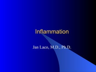Inflammation Jan Laco, M.D., Ph.D. 