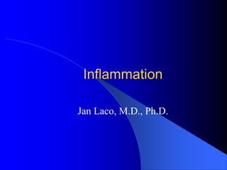 Inflammation
Jan Laco, M.D., Ph.D.
 