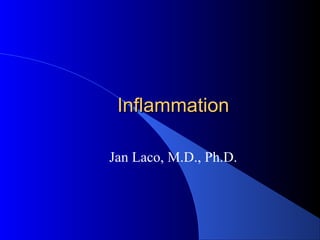 InflammationInflammation
Jan Laco, M.D., Ph.D.
 