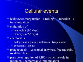 Cellular eventsCellular events
 leukocytes margination → rolling → adhesion →
transmigration
 emigration of:
– neutrophils (1-2 days)
– monocytes (2-3 days)
 chemotaxis
– endogenous signaling molecules - lymphokines
– exogenous - toxins
 phagocytosis - lysosomal enzymes, free radicals,
oxidative burst
 passive emigration of RBC - no active role in
inflamm. - hemorrhagic inflammation
 