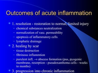 Outcomes of acute inflammationOutcomes of acute inflammation
 1. resolution - restoration to normal, limited injury
– chemical substances neutralization
– normalization of vasc. permeability
– apoptosis of inflammatory cells
– lymphatic drainage
 2. healing by scar
– tissue destruction
– fibrinous inflammtion
– purulent infl. → abscess formation (pus, pyogenic
membrane, resorption - pseudoxanthoma cells - weeks
to months)
 3. progression into chronic inflammation
 