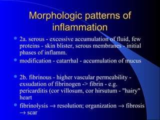 Morphologic patterns ofMorphologic patterns of
inflammationinflammation
 2a. serous - excessive accumulation of fluid, few
proteins - skin blister, serous membranes - initial
phases of inflamm.
 modification - catarrhal - accumulation of mucus
 2b. fibrinous - higher vascular permeability -
exsudation of fibrinogen -> fibrin - e.g.
pericarditis (cor villosum, cor hirsutum - "hairy"
heart
 fibrinolysis → resolution; organization → fibrosis
→ scar
 