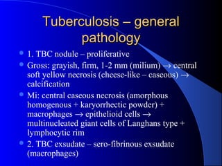 Tuberculosis – generalTuberculosis – general
pathologypathology
 1. TBC nodule – proliferative
 Gross: grayish, firm, 1-2 mm (milium) → central
soft yellow necrosis (cheese-like – caseous) →
calcification
 Mi: central caseous necrosis (amorphous
homogenous + karyorrhectic powder) +
macrophages → epithelioid cells →
multinucleated giant cells of Langhans type +
lymphocytic rim
 2. TBC exsudate – sero-fibrinous exsudate
(macrophages)
 