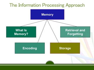 1 informationprocessing | PPTX