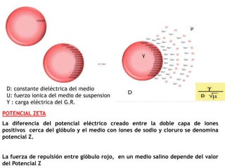POTENCIAL ZETA
La diferencia del potencial eléctrico creado entre la doble capa de iones
positivos cerca del glóbulo y el ...