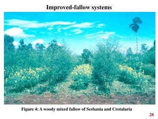 1 integrated nutrient management in various agroecosystems in tropics | PDF