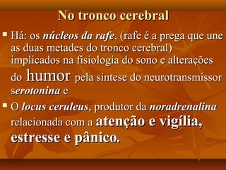 No tronco cerebralNo tronco cerebral
 Há: osHá: os núcleos da rafenúcleos da rafe, (rafe é a prega que une, (rafe é a prega que une
as duas metades do tronco cerebral)as duas metades do tronco cerebral)
implicados na fisiologia do sono e alteraçõesimplicados na fisiologia do sono e alterações
dodo humorhumor pela síntese do neurotransmissorpela síntese do neurotransmissor
sserotoninaerotonina ee
 OO locus ceruleuslocus ceruleus, produtor da, produtor da noradrenalinanoradrenalina
relacionada com arelacionada com a atenção e vigília,atenção e vigília,
estresse e pânicoestresse e pânico..
 
