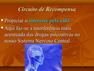 Circuito de RecompensaCircuito de Recompensa
 Propiciar oPropiciar o interesse pela vidainteresse pela vida
 Aqui faz-se a interferência maisAqui faz-se a interferência mais
acentuada das drogas psicoativas noacentuada das drogas psicoativas no
nosso Sistema Nervoso Central.nosso Sistema Nervoso Central.
 