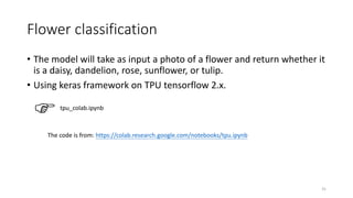 Flower classification
• The model will take as input a photo of a flower and return whether it
is a daisy, dandelion, rose...