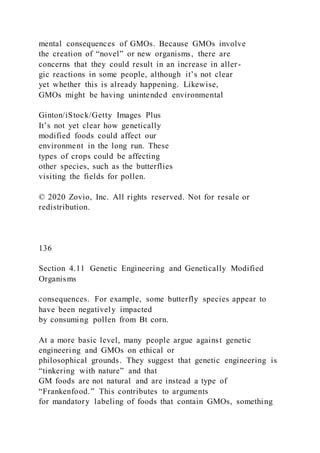 mental consequences of GMOs. Because GMOs involve
the creation of “novel” or new organisms, there are
concerns that they could result in an increase in aller-
gic reactions in some people, although it’s not clear
yet whether this is already happening. Likewise,
GMOs might be having unintended environmental
Ginton/iStock/Getty Images Plus
It’s not yet clear how genetically
modified foods could affect our
environment in the long run. These
types of crops could be affecting
other species, such as the butterflies
visiting the fields for pollen.
© 2020 Zovio, Inc. All rights reserved. Not for resale or
redistribution.
136
Section 4.11 Genetic Engineering and Genetically Modified
Organisms
consequences. For example, some butterfly species appear to
have been negatively impacted
by consuming pollen from Bt corn.
At a more basic level, many people argue against genetic
engineering and GMOs on ethical or
philosophical grounds. They suggest that genetic engineering is
“tinkering with nature” and that
GM foods are not natural and are instead a type of
“Frankenfood.” This contributes to arguments
for mandatory labeling of foods that contain GMOs, something
 