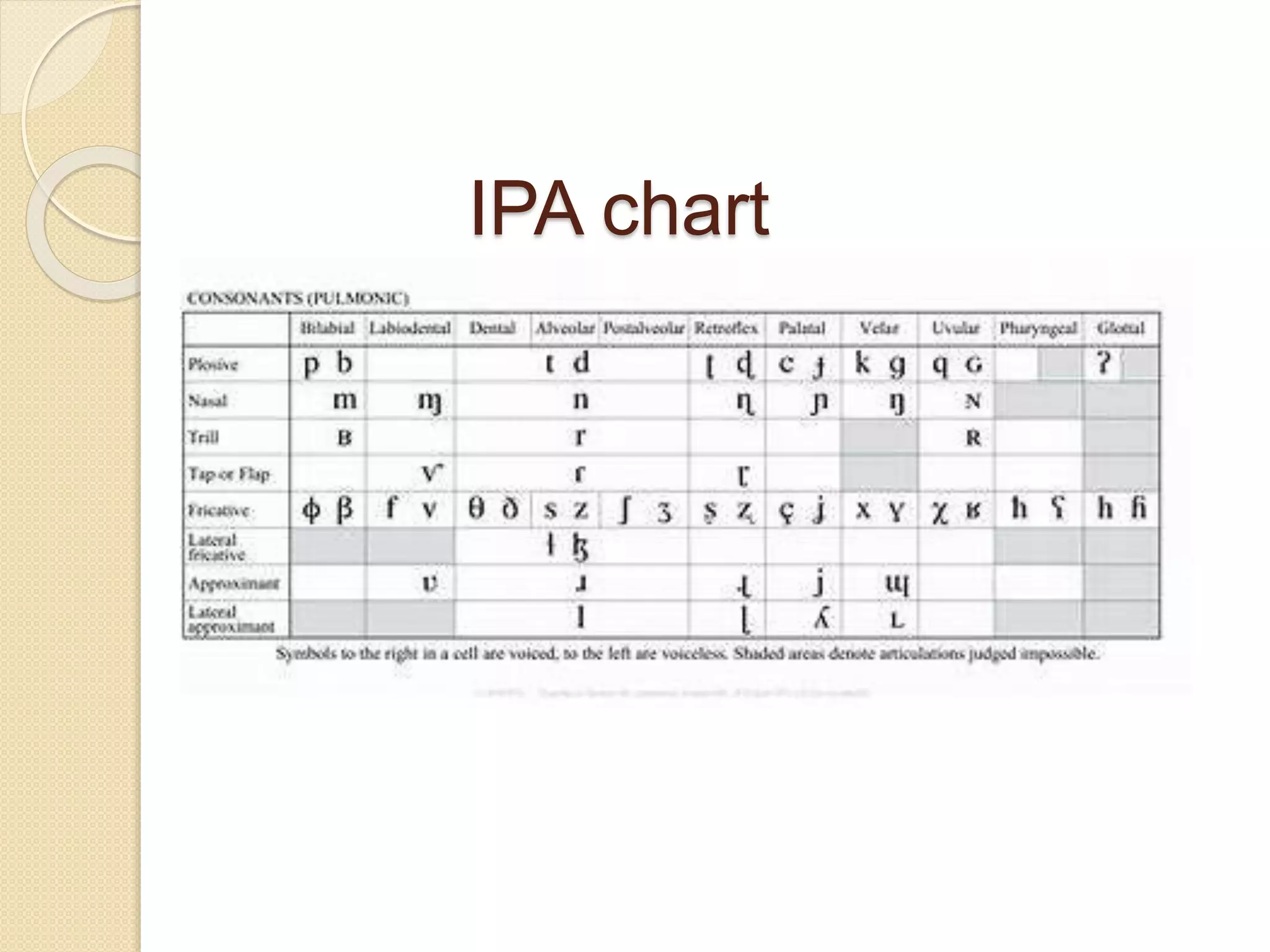 IPA chart
 