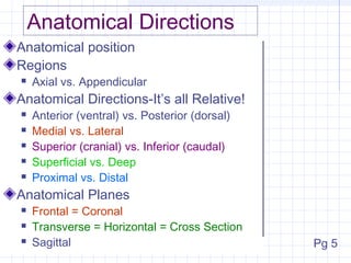 Anatomical Directions
Anatomical position
Regions
   Axial vs. Appendicular
Anatomical Directions-It’s all Relative!
   Anterior (ventral) vs. Posterior (dorsal)
   Medial vs. Lateral
   Superior (cranial) vs. Inferior (caudal)
   Superficial vs. Deep
   Proximal vs. Distal
Anatomical Planes
   Frontal = Coronal
   Transverse = Horizontal = Cross Section
   Sagittal                                    Pg 5
 