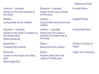 Reference Point
Anterior – (ventral)                Posterior – (dorsal)          Frontal Plane
Closer to the front surface of      Closer to the rear surface
the body                            of the body
Medial –                            Lateral –                     Sagittal Plane
Lying closer to the midline         Lying further away from the
                                    midline
Superior – (cranial)                Inferior – (caudal)           Horizontal Plane
Closer to the head in relation to   Away from the head or
the entire body                     towards the lower part of
(More General)                      the body

Superficial –                       Deep –                        Surface of body or
Towards the surface                 Away from the surface         organ

Proximal –                          Distal –                      Origin of a structure
Closer to the origin of a body      Further away from the
part                                origin of a body part
(More Specific)
 
