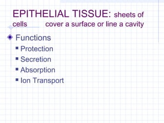 EPITHELIAL TISSUE: sheets of
cells    cover a surface or line a cavity
 Functions
 Protection
 Secretion

 Absorption

 Ion Transport
 