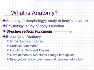 What is Anatomy?
Anatomy (= morphology): study of body’s structure
Physiology: study of body’s function
Structure reflects Function!!!
Branches of Anatomy
   Gross: Large structures
   Surface: Landmarks
   Histology: Cells and Tissues
   Developmental: Structures change through life
   Embryology: Structures form and develop before birth
 