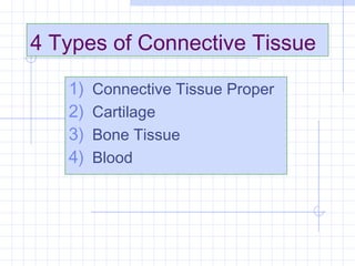 4 Types of Connective Tissue

   1)   Connective Tissue Proper
   2)   Cartilage
   3)   Bone Tissue
   4)   Blood
 