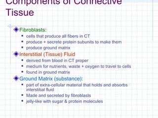 Components of Connective
Tissue
  Fibroblasts:
      cells that produce all fibers in CT
      produce + secrete protein subunits to make them
      produce ground matrix
  Interstitial (Tissue) Fluid
      derived from blood in CT proper
      medium for nutrients, waste + oxygen to travel to cells
      found in ground matrix
  Ground Matrix (substance):
      part of extra-cellular material that holds and absorbs
       interstitial fluid
      Made and secreted by fibroblasts
      jelly-like with sugar & protein molecules
 