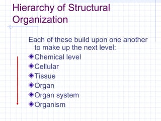 Hierarchy of Structural
Organization
   Each of these build upon one another
    to make up the next level:
    Chemical level
    Cellular
    Tissue
    Organ
    Organ system
    Organism
 