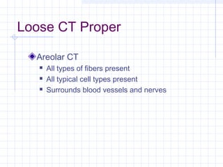 Loose CT Proper

  Areolar CT
      All types of fibers present
      All typical cell types present
      Surrounds blood vessels and nerves
 