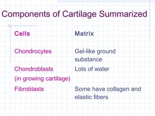 Components of Cartilage Summarized

   Cells                    Matrix

   Chondrocytes             Gel-like ground
                            substance
   Chondroblasts            Lots of water
   (in growing cartilage)
   Fibroblasts              Some have collagen and
                            elastic fibers
 