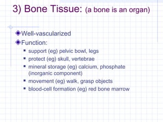 3) Bone Tissue: (a bone is an organ)

  Well-vascularized
  Function:
     support (eg) pelvic bowl, legs
     protect (eg) skull, vertebrae
     mineral storage (eg) calcium, phosphate
      (inorganic component)
     movement (eg) walk, grasp objects
     blood-cell formation (eg) red bone marrow
 