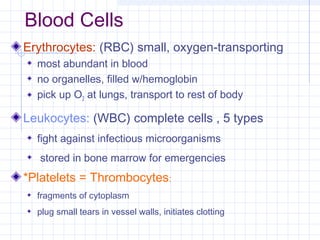 Blood Cells
Erythrocytes: (RBC) small, oxygen-transporting
  most abundant in blood
  no organelles, filled w/hemoglobin
  pick up O2 at lungs, transport to rest of body

Leukocytes: (WBC) complete cells , 5 types
  fight against infectious microorganisms
   stored in bone marrow for emergencies
*Platelets = Thrombocytes:
  fragments of cytoplasm
  plug small tears in vessel walls, initiates clotting
 