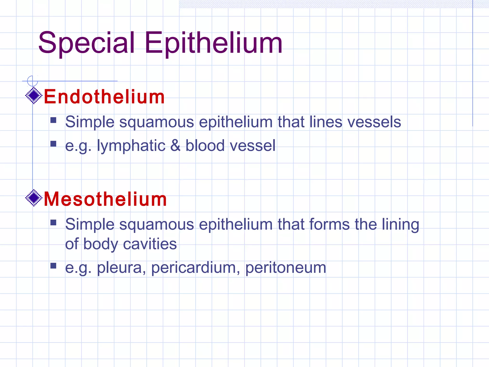 Special Epithelium
Endothelium
   Simple squamous epithelium that lines vessels
   e.g. lymphatic & blood vessel


Mesothelium
   Simple squamous epithelium that forms the lining
    of body cavities
   e.g. pleura, pericardium, peritoneum
 