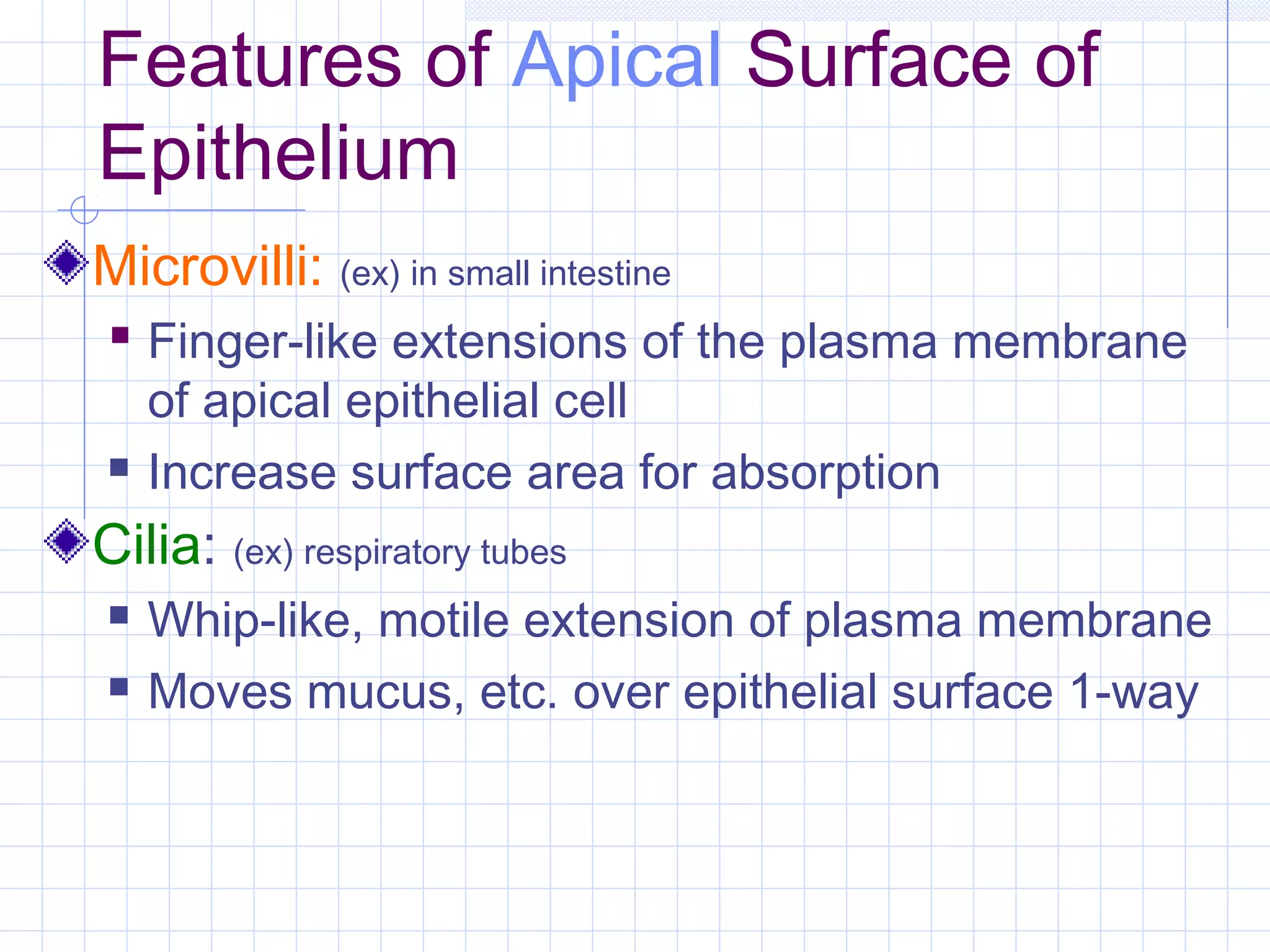Features of Apical Surface of
Epithelium
Microvilli: (ex) in small intestine
 Finger-like extensions of the plasma membrane
    of apical epithelial cell
   Increase surface area for absorption
Cilia: (ex) respiratory tubes
   Whip-like, motile extension of plasma membrane
   Moves mucus, etc. over epithelial surface 1-way
 