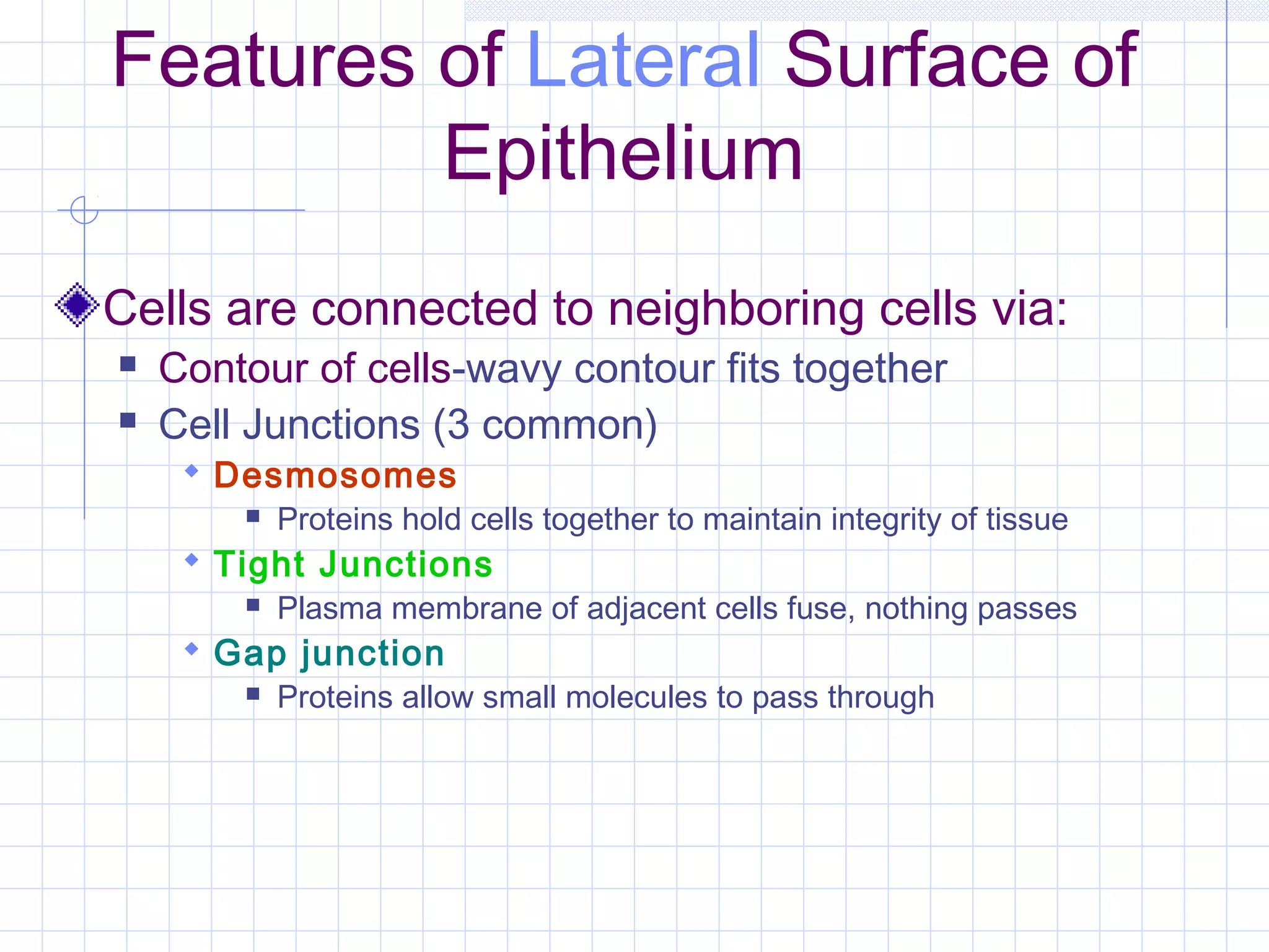Features of Lateral Surface of
         Epithelium
Cells are connected to neighboring cells via:
   Contour of cells-wavy contour fits together
   Cell Junctions (3 common)
      Desmosomes
           Proteins hold cells together to maintain integrity of tissue
      Tight Junctions
           Plasma membrane of adjacent cells fuse, nothing passes
      Gap junction
           Proteins allow small molecules to pass through
 