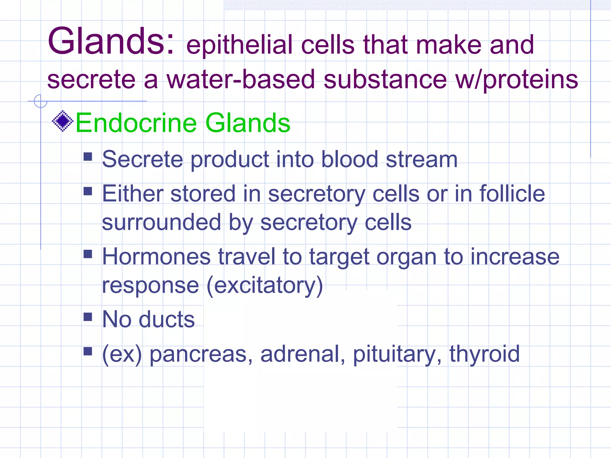 Glands: epithelial cells that make and
secrete a water-based substance w/proteins
  Endocrine Glands
     Secrete product into blood stream
     Either stored in secretory cells or in follicle
      surrounded by secretory cells
     Hormones travel to target organ to increase
      response (excitatory)
     No ducts
     (ex) pancreas, adrenal, pituitary, thyroid
 