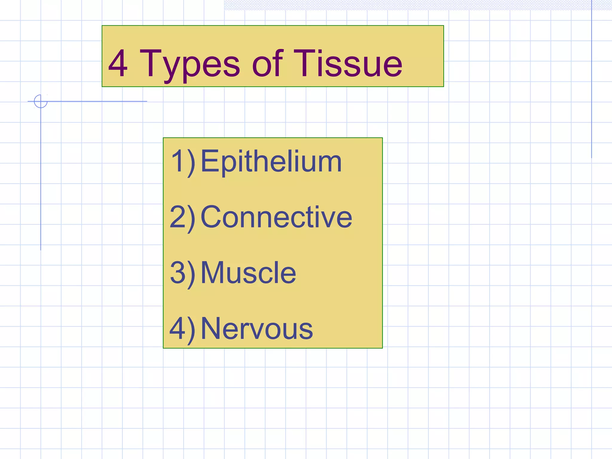 4 Types of Tissue

   1) Epithelium
   2) Connective
   3) Muscle
   4) Nervous
 