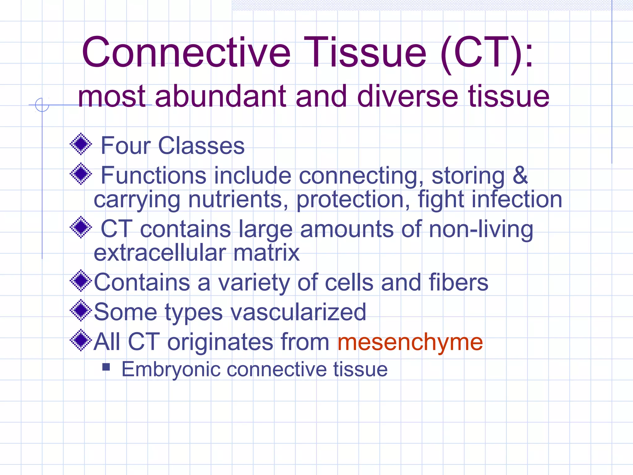 Connective Tissue (CT):
most abundant and diverse tissue
  Four Classes
  Functions include connecting, storing &
 carrying nutrients, protection, fight infection
  CT contains large amounts of non-living
 extracellular matrix
 Contains a variety of cells and fibers
 Some types vascularized
 All CT originates from mesenchyme
    Embryonic connective tissue
 