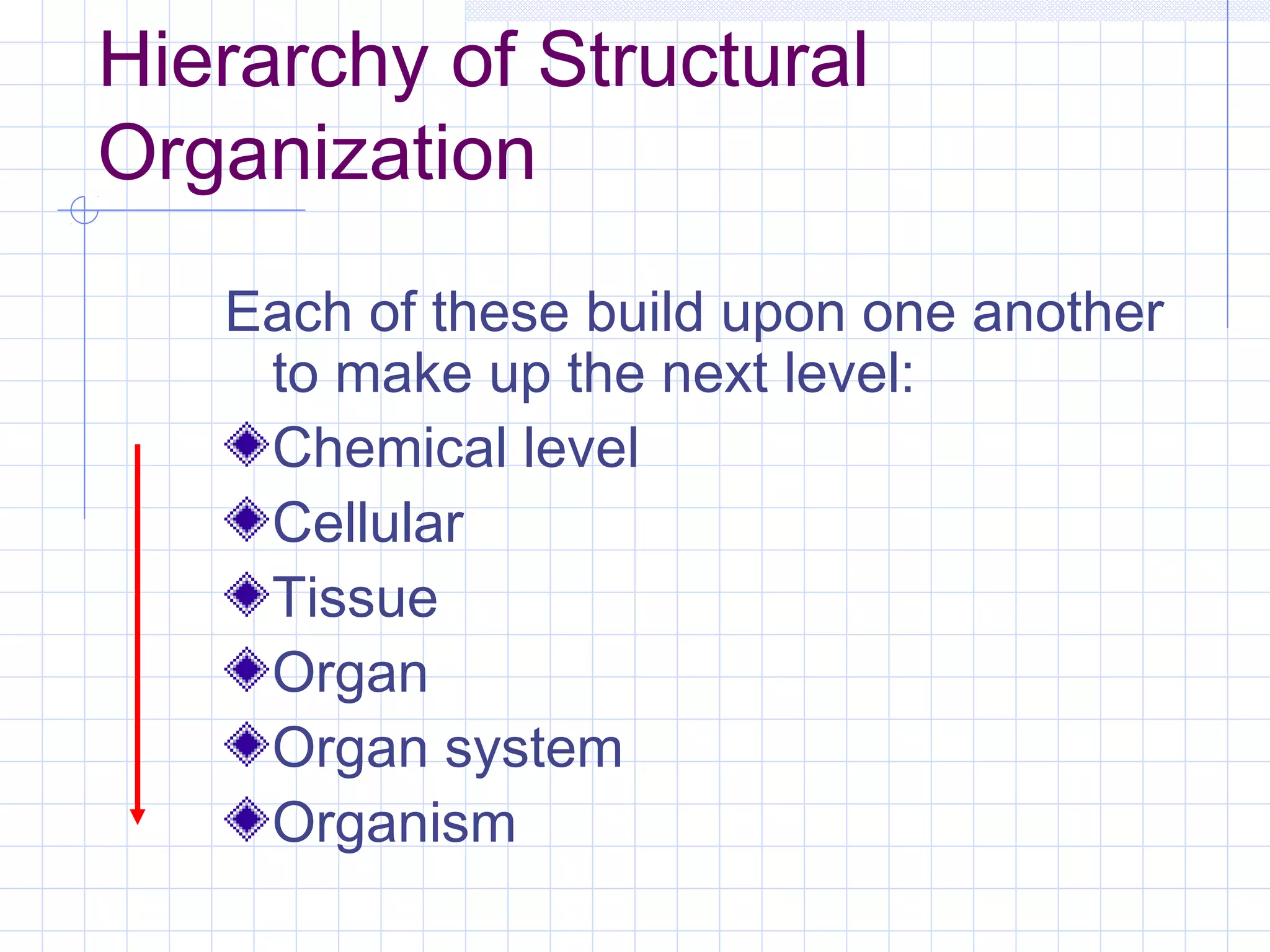 Hierarchy of Structural
Organization
   Each of these build upon one another
    to make up the next level:
    Chemical level
    Cellular
    Tissue
    Organ
    Organ system
    Organism
 