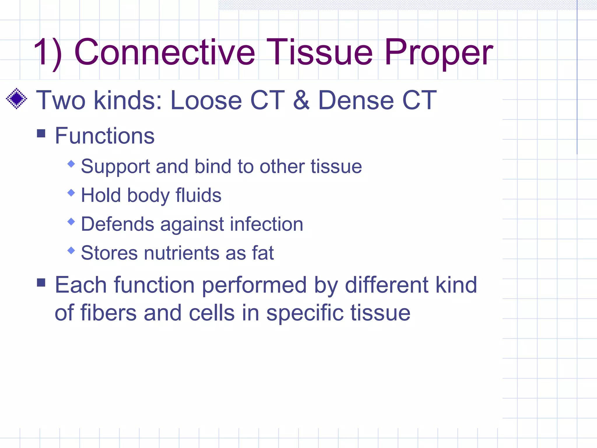 1) Connective Tissue Proper
Two kinds: Loose CT & Dense CT
   Functions
      Support and bind to other tissue
      Hold body fluids
      Defends against infection
      Stores nutrients as fat
   Each function performed by different kind
    of fibers and cells in specific tissue
 