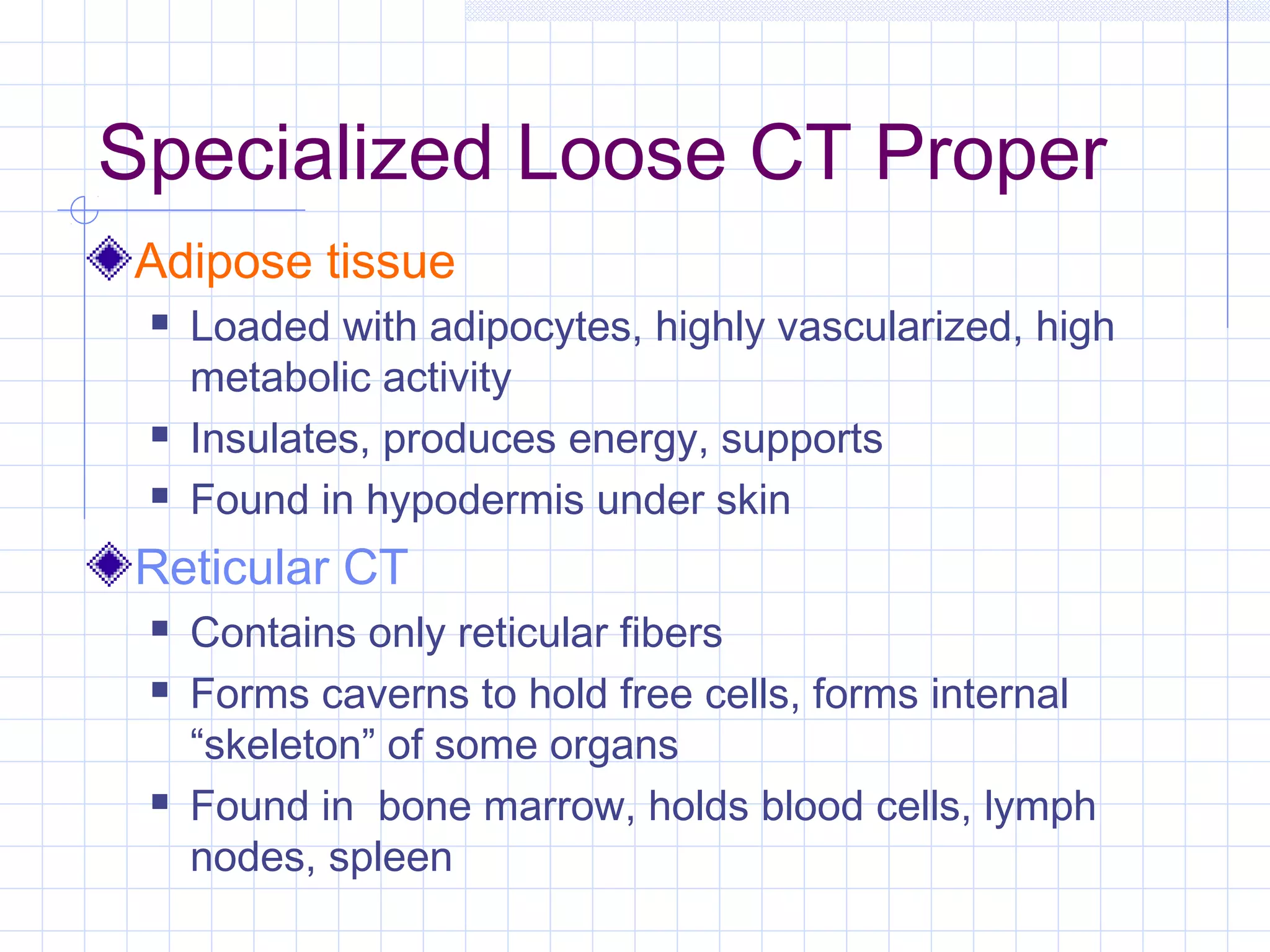 Specialized Loose CT Proper
Adipose tissue
    Loaded with adipocytes, highly vascularized, high
     metabolic activity
    Insulates, produces energy, supports
    Found in hypodermis under skin
Reticular CT
    Contains only reticular fibers
    Forms caverns to hold free cells, forms internal
     “skeleton” of some organs
    Found in bone marrow, holds blood cells, lymph
     nodes, spleen
 
