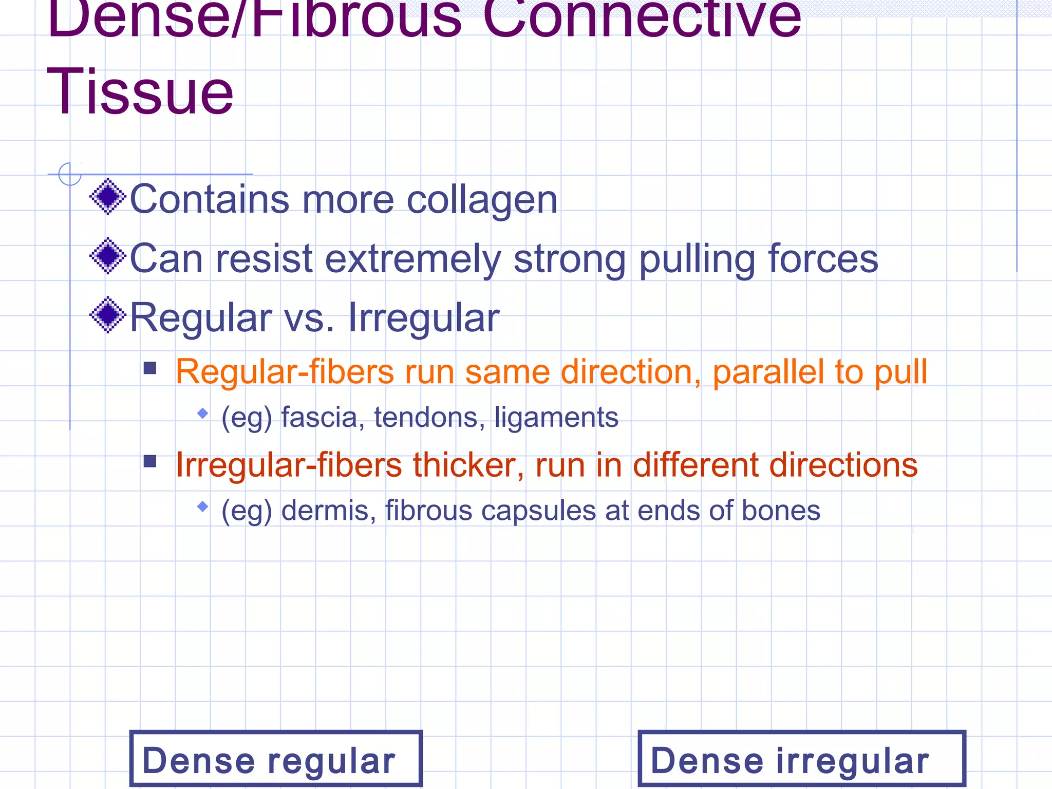 Dense/Fibrous Connective
Tissue
  Contains more collagen
  Can resist extremely strong pulling forces
  Regular vs. Irregular
      Regular-fibers run same direction, parallel to pull
         (eg) fascia, tendons, ligaments
      Irregular-fibers thicker, run in different directions
         (eg) dermis, fibrous capsules at ends of bones




   Dense regular                            Dense irregular
 