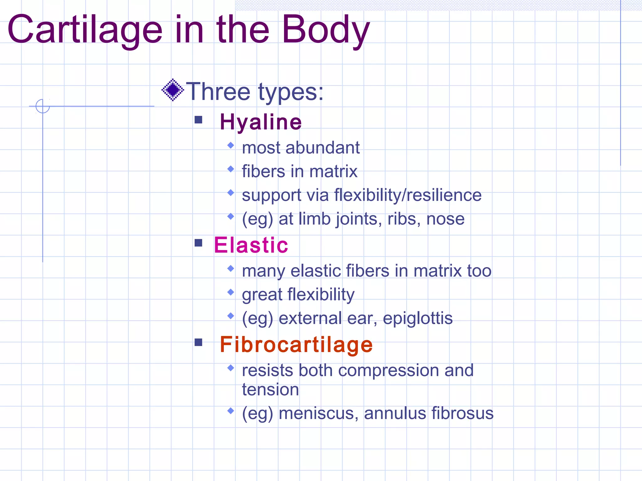 Cartilage in the Body
          Three types:
             Hyaline
                  most abundant
                  fibers in matrix
                  support via flexibility/resilience
                  (eg) at limb joints, ribs, nose
             Elastic
                many elastic fibers in matrix too
                great flexibility
                (eg) external ear, epiglottis
             Fibrocartilage
                resists both compression and
                 tension
                (eg) meniscus, annulus fibrosus
 