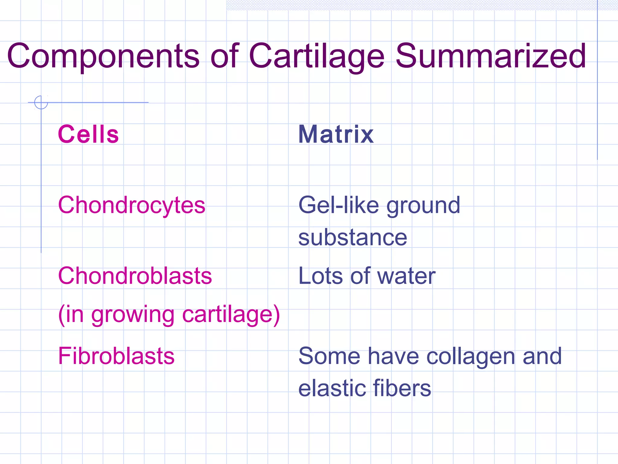 Components of Cartilage Summarized

   Cells                    Matrix

   Chondrocytes             Gel-like ground
                            substance
   Chondroblasts            Lots of water
   (in growing cartilage)
   Fibroblasts              Some have collagen and
                            elastic fibers
 