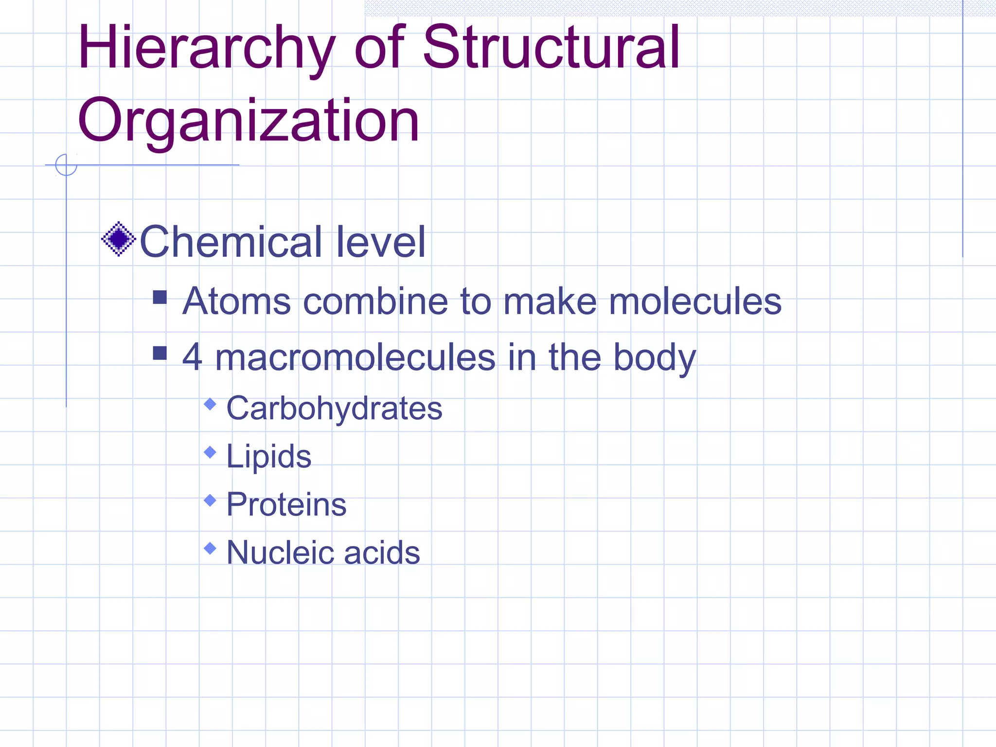 Hierarchy of Structural
Organization
  Chemical level
     Atoms combine to make molecules
     4 macromolecules in the body
       Carbohydrates
       Lipids
       Proteins
       Nucleic acids
 