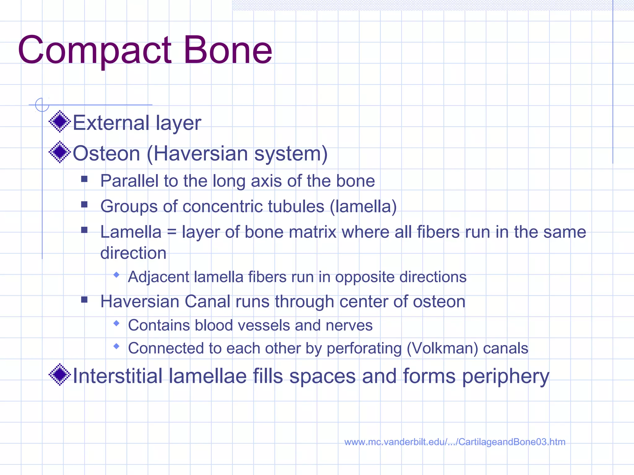 Compact Bone
  External layer
  Osteon (Haversian system)
     Parallel to the long axis of the bone
     Groups of concentric tubules (lamella)
     Lamella = layer of bone matrix where all fibers run in the same
      direction
        Adjacent lamella fibers run in opposite directions
     Haversian Canal runs through center of osteon
        Contains blood vessels and nerves
        Connected to each other by perforating (Volkman) canals

  Interstitial lamellae fills spaces and forms periphery

                                         www.mc.vanderbilt.edu/.../CartilageandBone03.htm
 