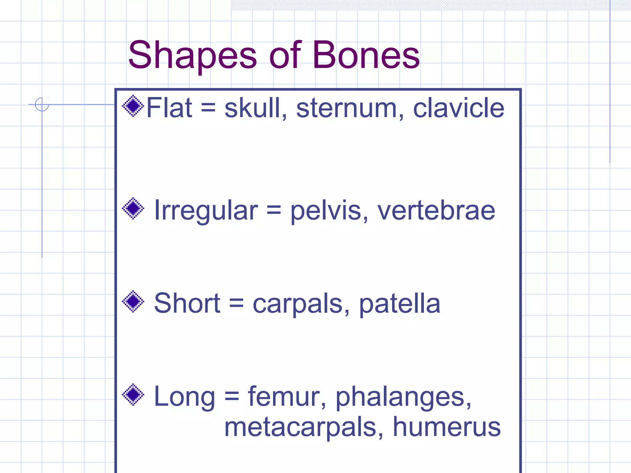 Shapes of Bones
Flat = skull, sternum, clavicle


 Irregular = pelvis, vertebrae


 Short = carpals, patella


 Long = femur, phalanges,
      metacarpals, humerus
 